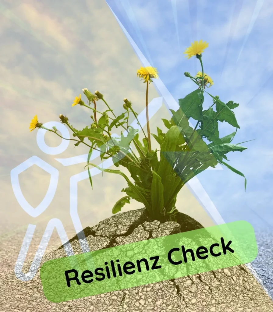 Resilienz-Check